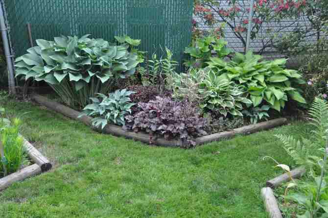 Hosta bed at south east corner of front yard